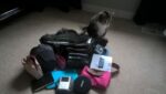 Luggage Luggage, Angie thinks I am leaving