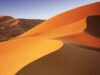 Top 4 Tour Groups for Solo Women Travelers