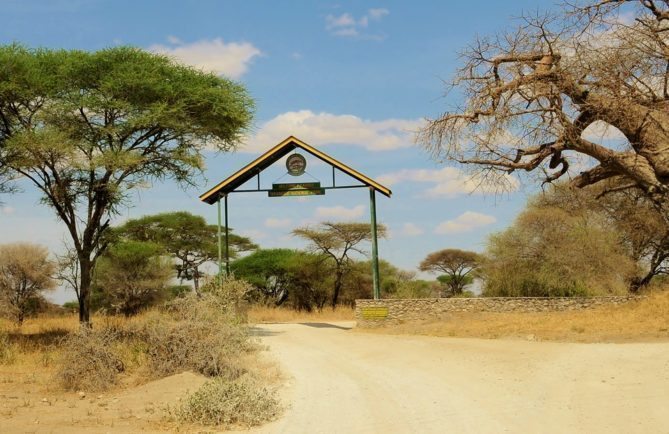 My African Safari - Tarangire Safari Camp