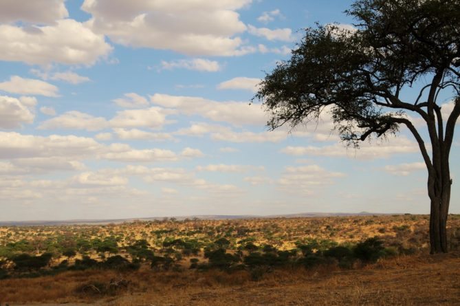 Best African Safari Views Best African Safari Views 3