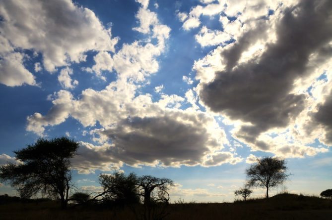 Best African Safari Views