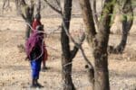 Adventure Holiday in Tanzania Africa - bushman