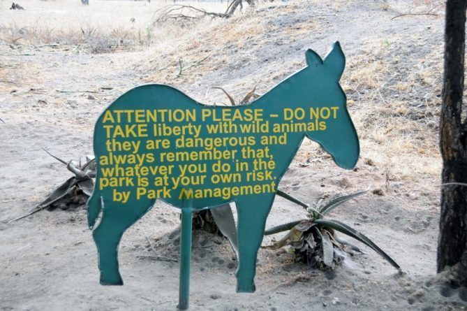 My African Safari - Tarangire Safari Camp entrance sign