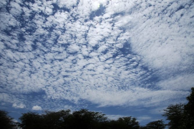 Best African Safari Views - African sky - blue clouds used many times