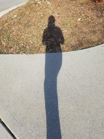 alternate fact, washington USA shadow