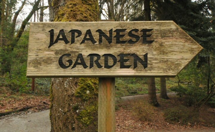 Japanese Garden