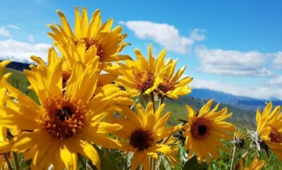 Hiking Horse Lake Trailhead, Wenatchee, Washington