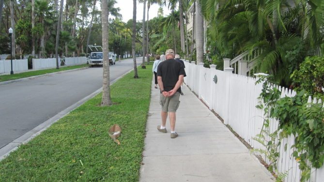 key west florida ernest hemingway