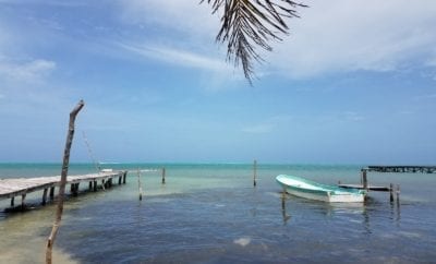 best food bars, Caye Caulker Spiny Lobster