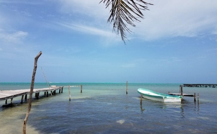 best food bars, Caye Caulker Spiny Lobster