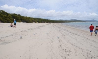Best Whitsunday Islands Dream Vacation