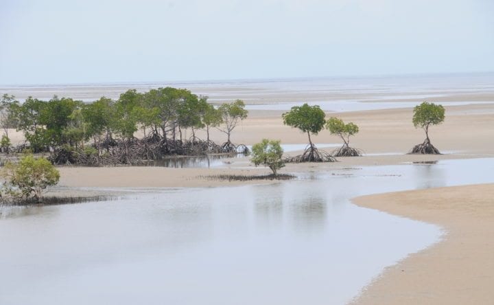 Shoal Port Douglas, Queensland, Australia