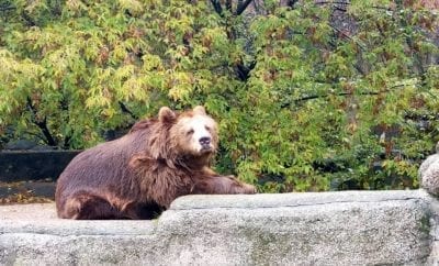 All About the Warsaw Zoo