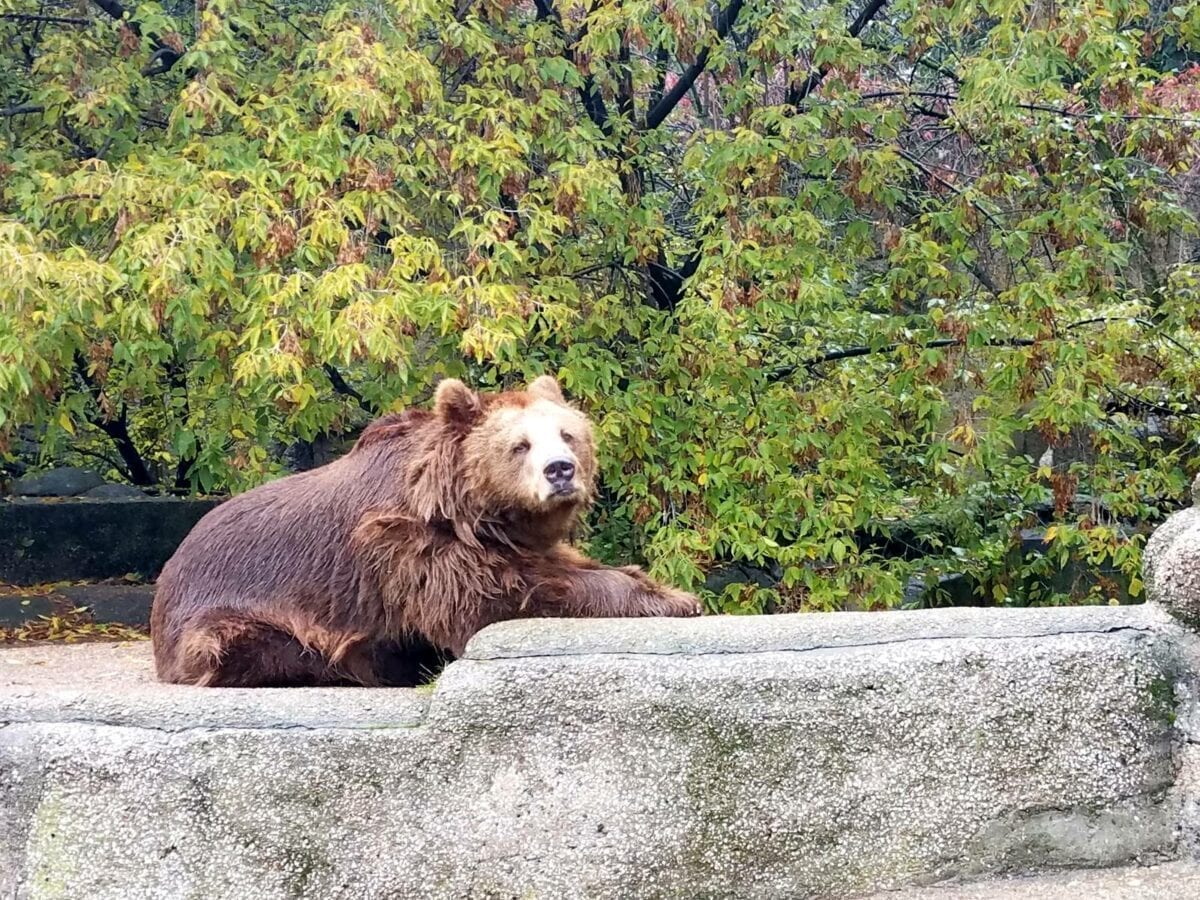 visit warsaw zoo