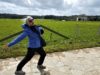 Camino de Santiago Travel Itinerary & Trip Plan