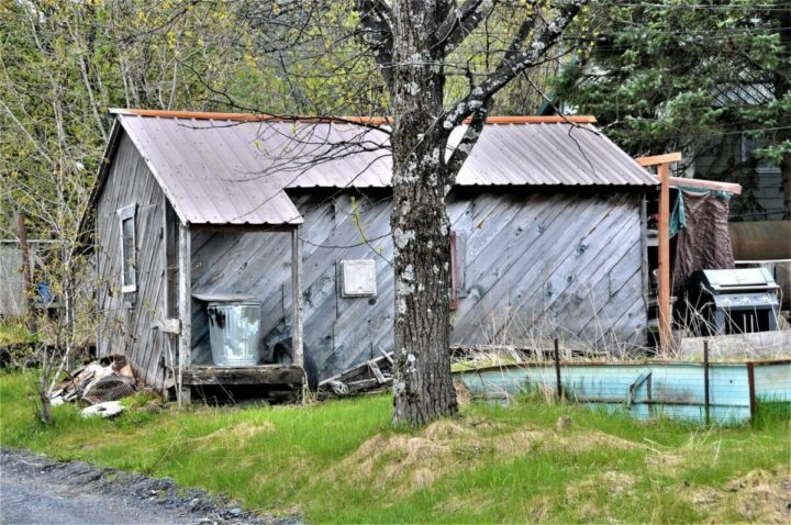 alaska humor tin home