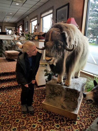 alaska humor and me examining it