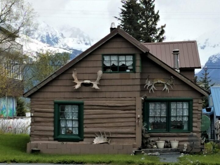 alaska humor in home decor