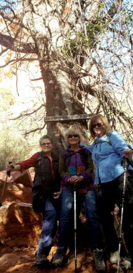 montezuma well. sedona arizona