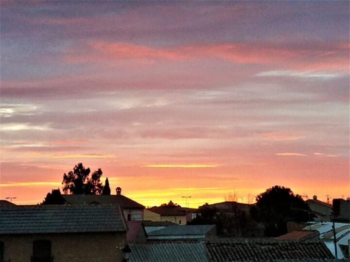 Barking Dog at Remote Airbnb Location - Alcabon, Spain, Remote Airbnb Locations some bad places