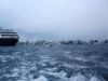 Cruising Sri Lanka and The Maldives with Holland America