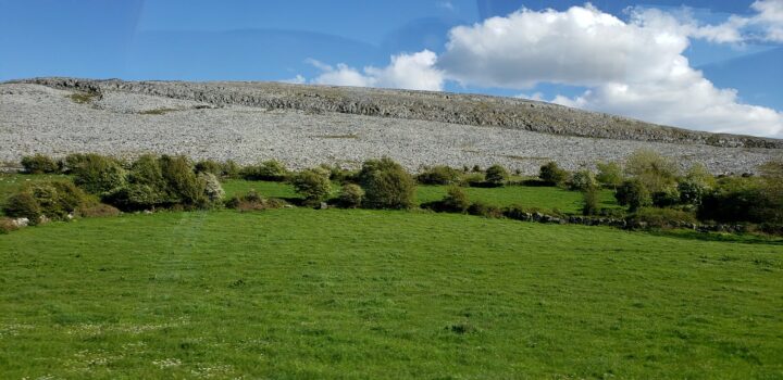 meadows of Burren National Park 1
