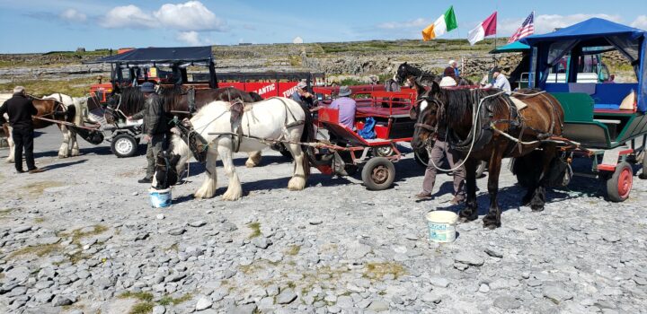 Best Views of The Burren, Aran Islands & Cliffs of Moher, Ireland carriages