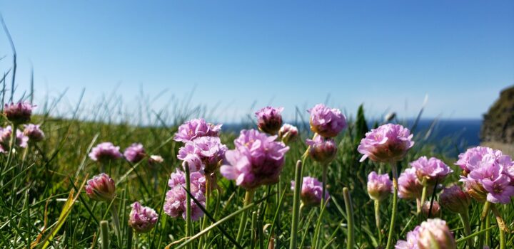 Best Views of The Burren, Aran Islands & Cliffs of Moher, Ireland Cliff of Moher Tours