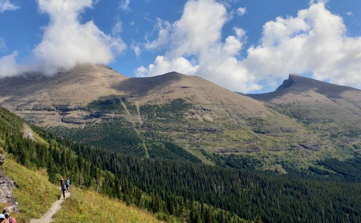 Glacier National Park, Why Visit the Peace Park