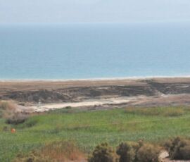 Dead Sea, Israel