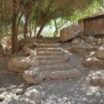 Stone steps lead up through a shaded garden area with trees and rocks.