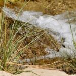 Small waterfall flowing through grassy terrain in a natural setting.