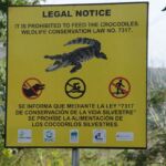 animals, Costa Rica