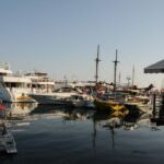 boats