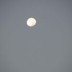 Bright full moon glowing in a clear evening sky.