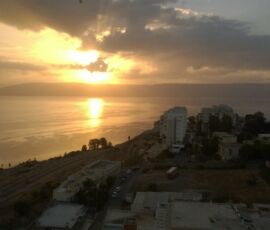 WP_20140926_032 (2)