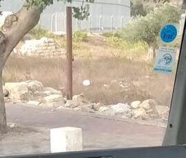 #24 Bus Bethlehem, Palestine