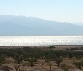 Dead Sea, Israel,